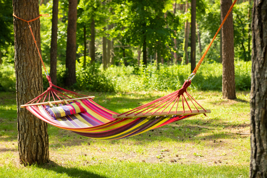 The Ultimate Guide to Choosing the Perfect Camping Hammock
