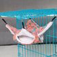 햄스터 Pet Hammock Cotton Hamster Mouse Hanging Bed Small Pet Hamster Rabbit Double Layer Warm Sleep Nests Hanging Hammock Supplies